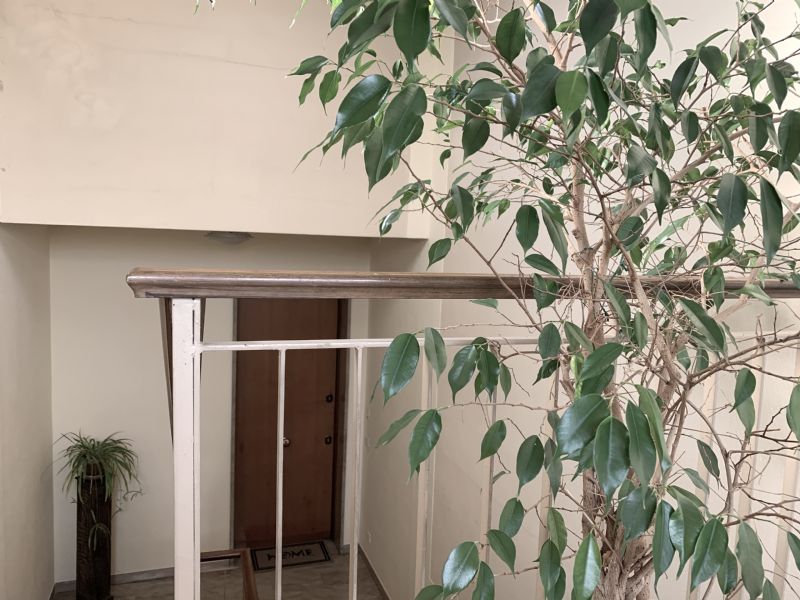 LBT Real Estate intermediazioni immobiliari Appartamenti in vendita